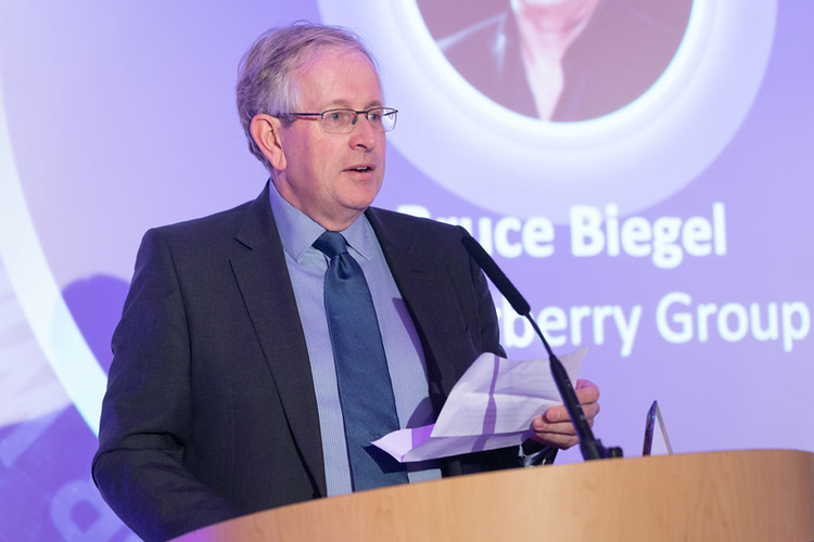 BRUCE BIEGEL HONORED WITH THE 'EXCELLENCE IN INFLUENCE' AWARD BY CONSULTING MAGAZINE
